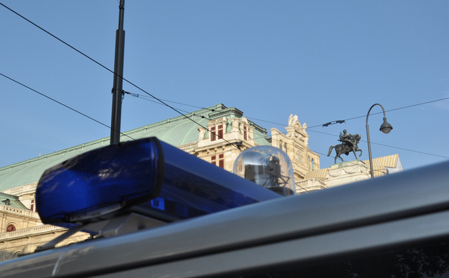 Sympolbild Polizeiauto 