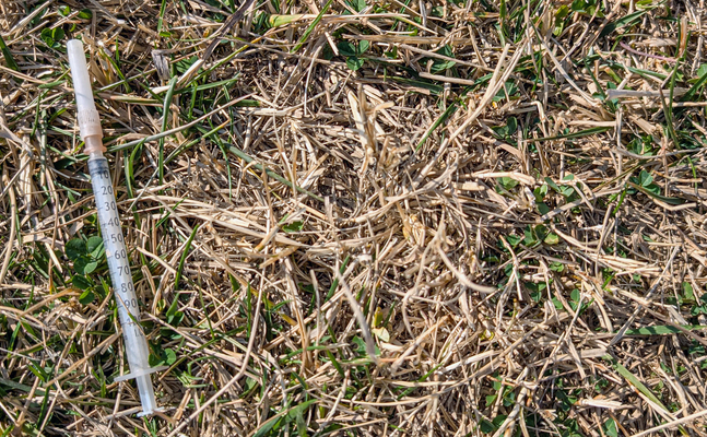 Bild zeigt eine Drogenspritze in der Wiese